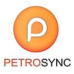 Gambar PetroSYNC Posisi IT Trainer (System Implementor)