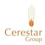 Gambar PT Cerestar Flour Mills Posisi Staff Treasury