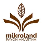 Gambar PT Mikroland Payon Amartha Posisi Marketing Communication
