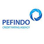 Gambar PT Pemeringkat Efek Indonesia (PEFINDO) Posisi Non-Financial Institutions Rating Analyst