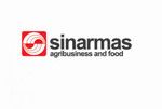 Gambar PT Sinarmas Sentra Cipta (PT SSC) Posisi Digital Engineer – Product Support & Improvement Lead